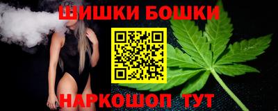 МДПВ Кингисепп