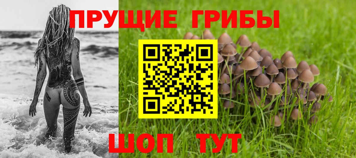Галлюциногенные грибы Magic Shrooms  Псилоцибиновые грибы ЛСД  Вход с VPN  Югорск 